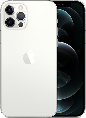 Apple iPhone 12 Pro 5G A2407 Global Dual SIM TD-LTE 256GB (Apple iPhone 13,3)