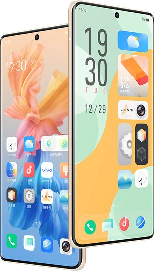Vivo X60 Pro+ 5G Standard Edition Dual SIM TD-LTE CN 128GB V2056A
