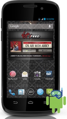 ZTE N810 Virgin Mobile Reef
