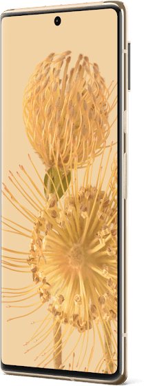 Google Pixel 6 Pro 5G UW TD-LTE US 128GB G8VOU