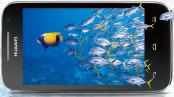 Huawei Ascend C8812
