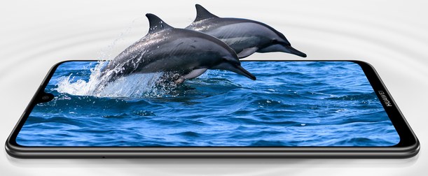 Huawei Honor 8X Max Standard Edition Dual SIM TD-LTE CN 64GB ARE-AL00 (Huawei Aries)