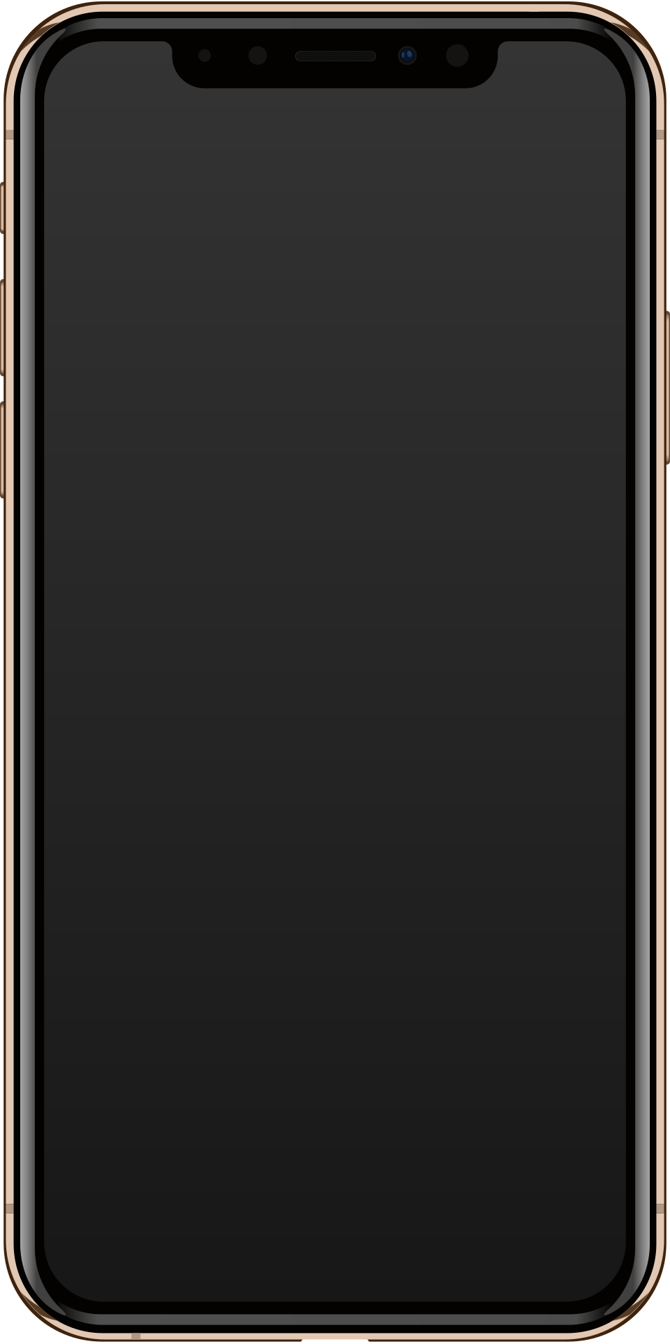 Apple iPhone XS Max